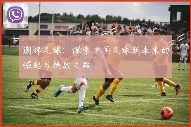谢辉足球：探索中国足球新未来的崛起与挑战之路
