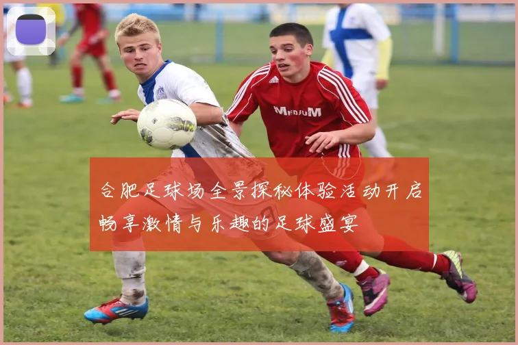 合肥足球场全景探秘体验活动开启畅享激情与乐趣的足球盛宴